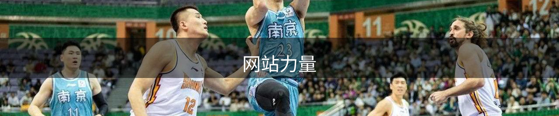 网站力量